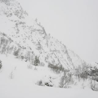 Triple White III Triple White III